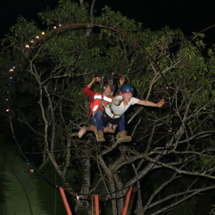 Night Jungle Experience