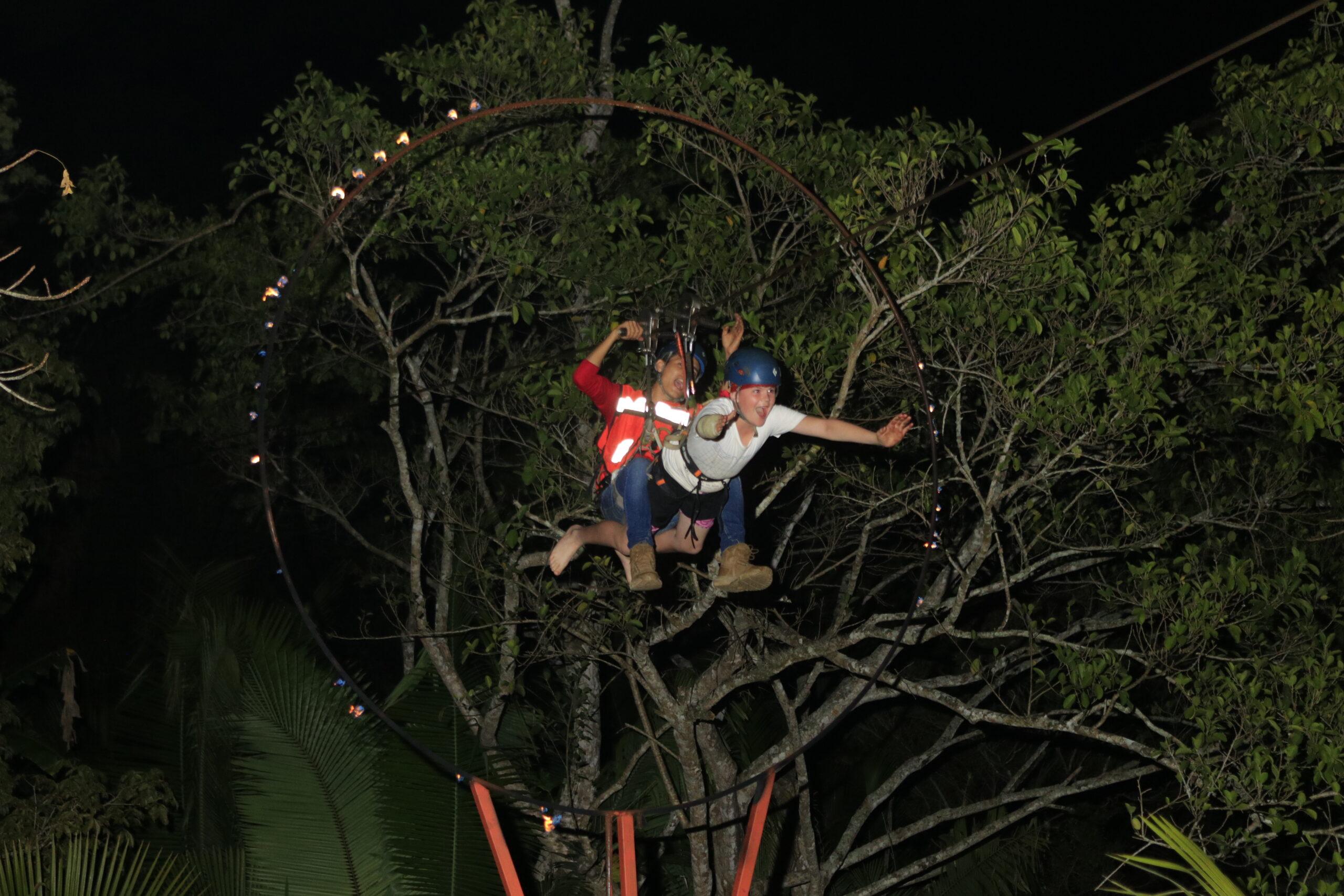 Night Jungle Experience